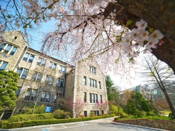 Du Học Hàn Quốc: Hành Trình Khám Phá Văn Hóa và Tiếng Hàn