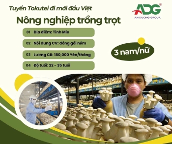 ĐƠN HÀNG XUẤT KHẨU LAO ĐỘNG NHẬT BẢN ĐẶC ĐỊNH ĐẦU VIỆT