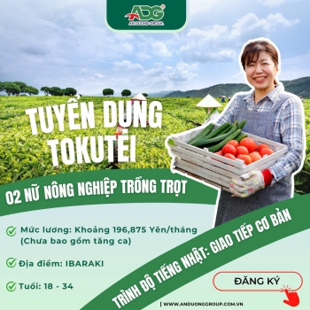 ĐƠN HÀNG XUẤT KHẨU LAO ĐỘNG NHẬT BẢN ĐẶC ĐỊNH ĐẦU VIỆT NGÀNH NÔNG NGHIỆP TRỒNG TRỌT TỈNH IBARAKI